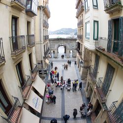 201501_rfspd_5790885.jpg